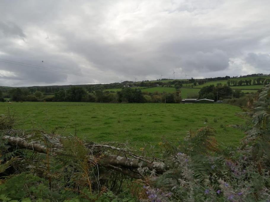 Caman Inn Kilkenny Extérieur photo